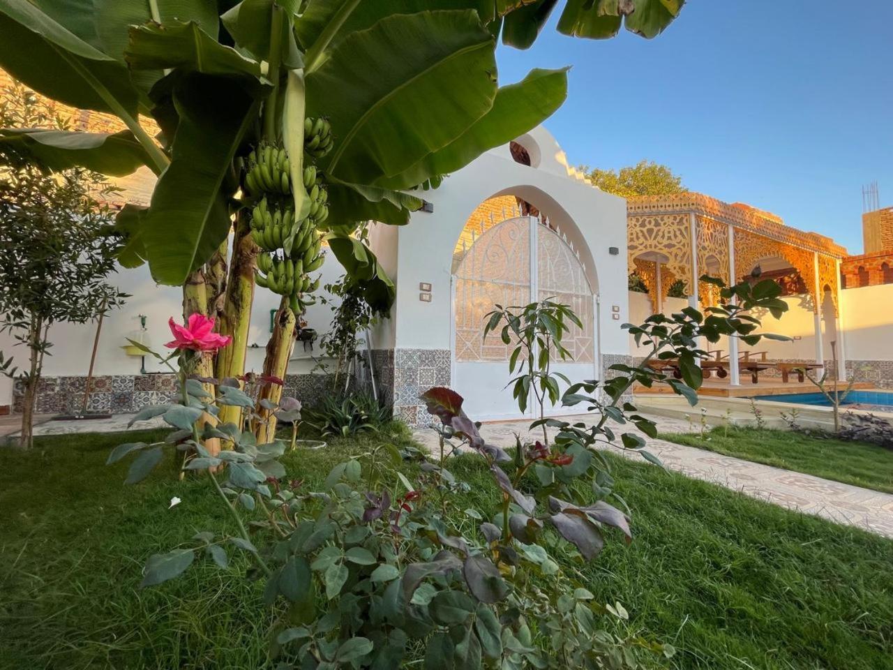 Villa Kemet Jazirat al Awwamiyah Extérieur photo